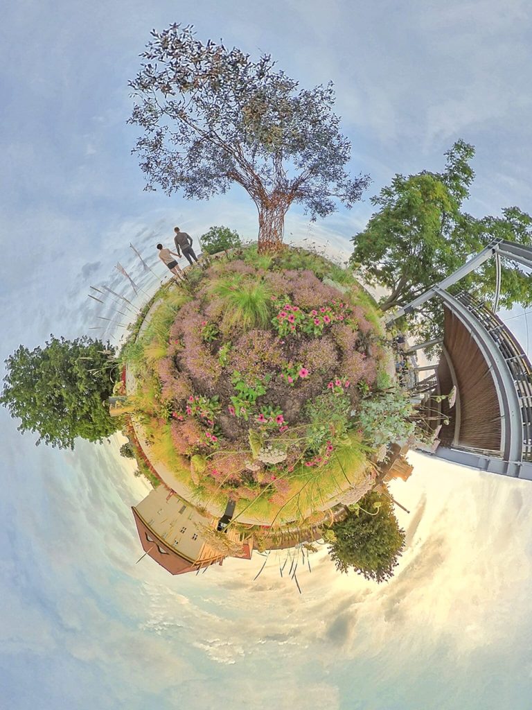 Eine tiny planet Aufnahme vom Paradiesbaum auf dem Petersberg in Erfurt. Bild gewann den Fotowettbewerb im Rahmen der Bundesgartenschau.